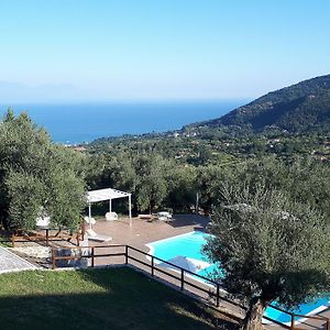 Tenuta Terre Di Bosco Oasi Di Relax Nel Cilento
